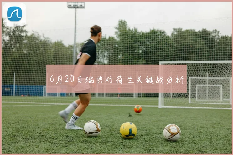 6月20日瑞典对荷兰关键战分析