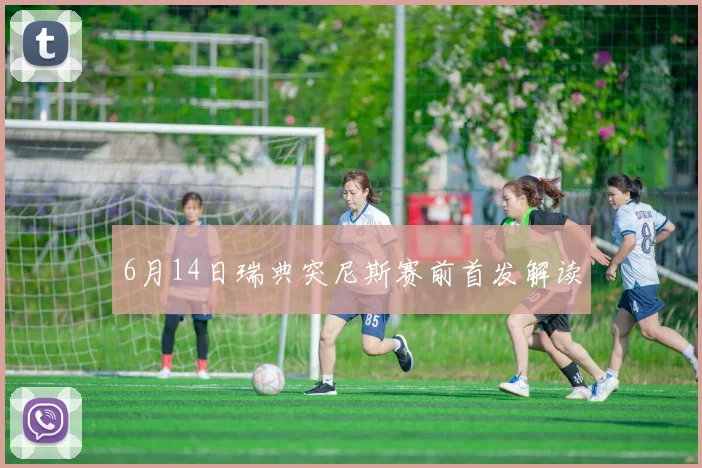 6月14日瑞典突尼斯赛前首发解读