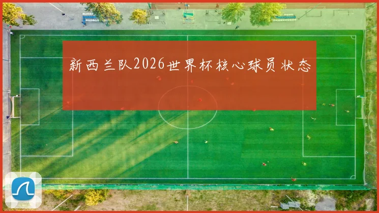 新西兰队2026世界杯核心球员状态