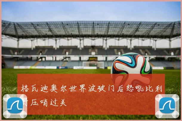 格瓦迪奥尔世界波破门后怒吼比利时压哨过关