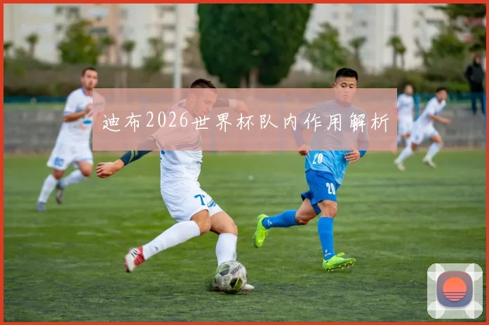 迪布2026世界杯队内作用解析