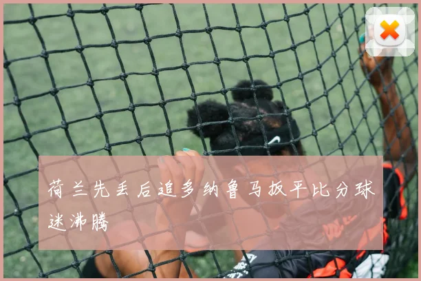 荷兰先丢后追多纳鲁马扳平比分球迷沸腾
