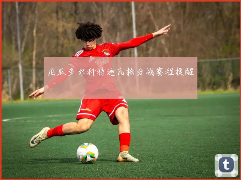 厄瓜多尔科特迪瓦抢分战赛程提醒