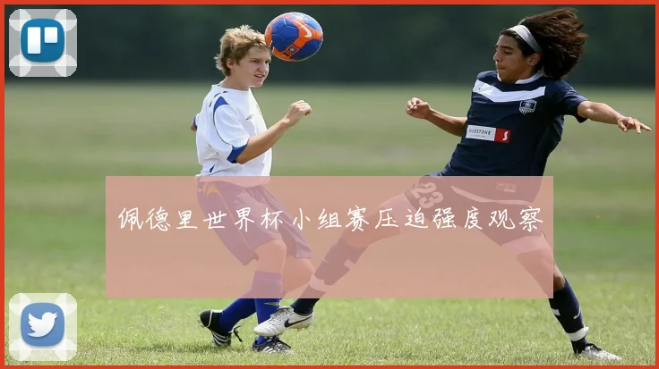 佩德里世界杯小组赛压迫强度观察