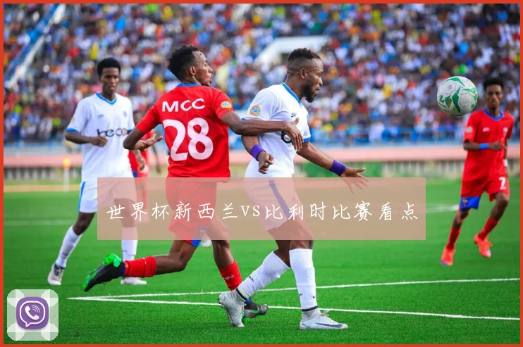 世界杯新西兰vs比利时比赛看点