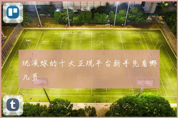 玩滚球的十大正规平台新手先看哪几页