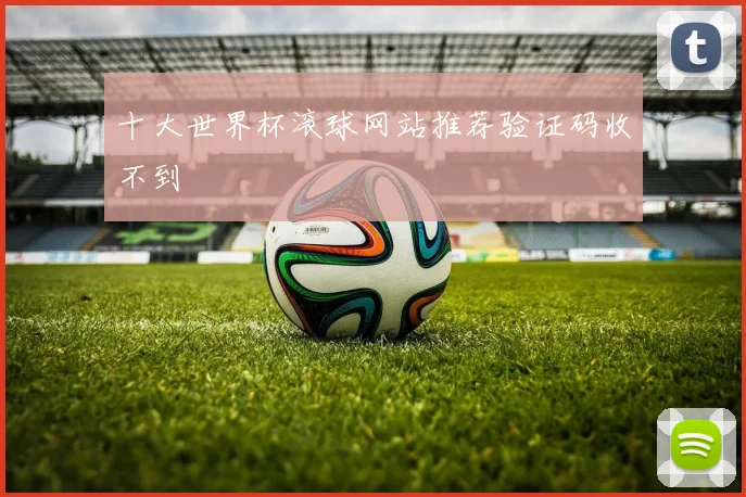 十大世界杯滚球网站推荐验证码收不到