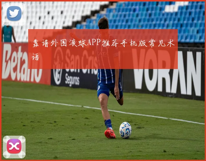 靠谱外围滚球APP推荐手机版常见术语